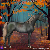 Horse Color:Liver Chestnut Rabicano 