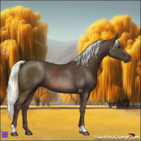 Horse Color:Liver Chestnut Mushroom Rabicano