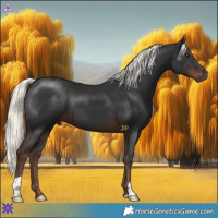 Horse Color:Liver Chestnut Mushroom