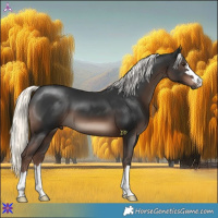 Horse Color:Liver Chestnut Mushroom 