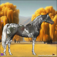 Horse Color:Liver Chestnut Mushroom Tobiano 