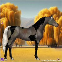 Horse Color:Void Liver Chestnut Mushroom Tobiano Rabicano 