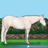 Horse Color:Gold Cream Champagne Pearl