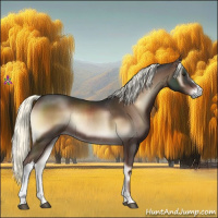 Horse Color:Liver Red Onyx Mushroom Rabicano 