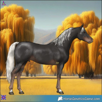 Horse Color:Liver Chestnut Mushroom Rabicano 