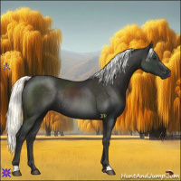 Horse Color:Liver Chestnut Mushroom Rabicano 