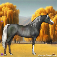 Horse Color:Liver Chestnut Mushroom Rabicano