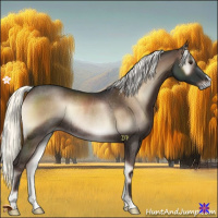Horse Color:Liver Red Onyx Mushroom Rabicano 