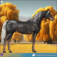 Horse Color:Liver Chestnut Mushroom Rabicano
