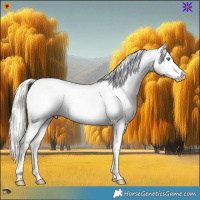 Horse Color:White Spotted Liver Red Onyx Mushroom Splash Frame Snowcap 