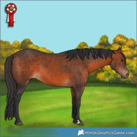 Horse Color:Brown 