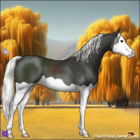 Horse Color:Liver Chestnut Mushroom Splash 
