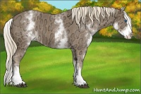 Horse Color:White Spotted Chocolate Palomino Ice Splash 