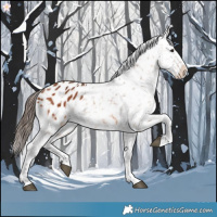 Horse Color:Bay Snowflake Varnish