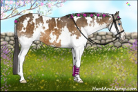 Horse Color:White Spotted Buckskin Splash