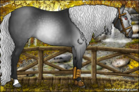 Horse Color:Gray Platinum Silver Black Chinchilla 