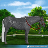 Horse Color:Platinum Silver Black Chinchilla 