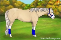 Horse Color:Silver Amber Champagne Dun Splash 