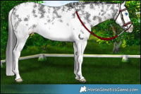 Horse Color:Platinum Black Sabino Splash 