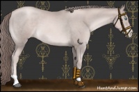 Horse Color:Platinum Liver Chestnut Pearl