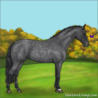 Horse Color:Blue Roan Snowflake Varnish 