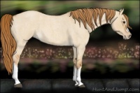 Horse Color:Red Dun Roan Splash Frame Rabicano 