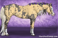 Horse Color:Smoky Blue Roan Sabino Splash  and Palomino Roan Sabino Splash 