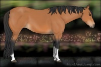 Horse Color:Bay Tobiano 