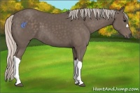 Horse Color:Silver Black 