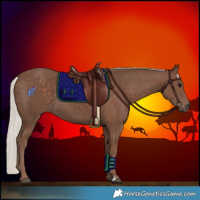 Horse Color:Silver Black 