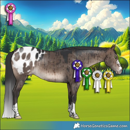 Horse Color:Brown Dun Mushroom Blanket Brindle 