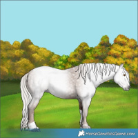 Horse Color:Gray Silver Black Pearl Tobiano 