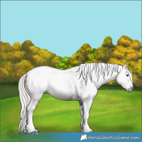 Horse Color:Gray Silver Black Pearl Tobiano 