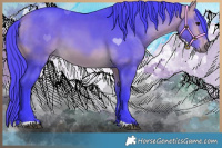 Horse Color:Watercolor Buckskin 