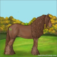 Horse Color:Chestnut Rabicano 