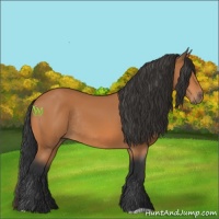 Horse Color:Bay Rabicano 