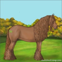 Horse Color:Chestnut Rabicano 