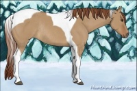 Horse Color:Red Dun Tobiano Rabicano 