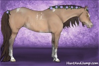 Horse Color:Amber Champagne Sabino Tobiano Varnish  and Amber Champagne Sabino Tobiano Varnish 