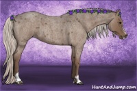 Horse Color:Silver Blue Roan Sabino 