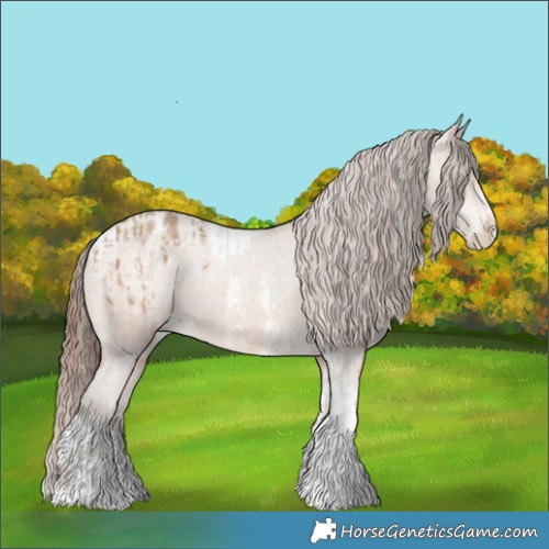 Horse Color:Amber Champagne Sabino Tobiano Appaloosa  and Amber Champagne Sabino Tobiano Appaloosa Rabicano 