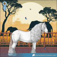 Horse Color:White Spotted Bay Dun Splash Appaloosa 