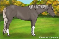 Horse Color:Silver Black 