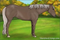 Horse Color:Silver Black 