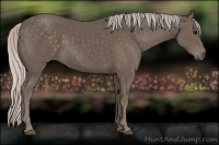 Horse Color:Silver Black 