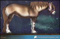 Horse Color:Liver Red Onyx