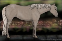 Horse Color:Silver Grullo 