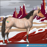 Horse Color:Bay Roan Tobiano