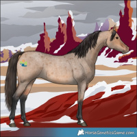 Horse Color:Bay Roan Dun 
