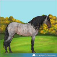Horse Color:Brown Roan 
